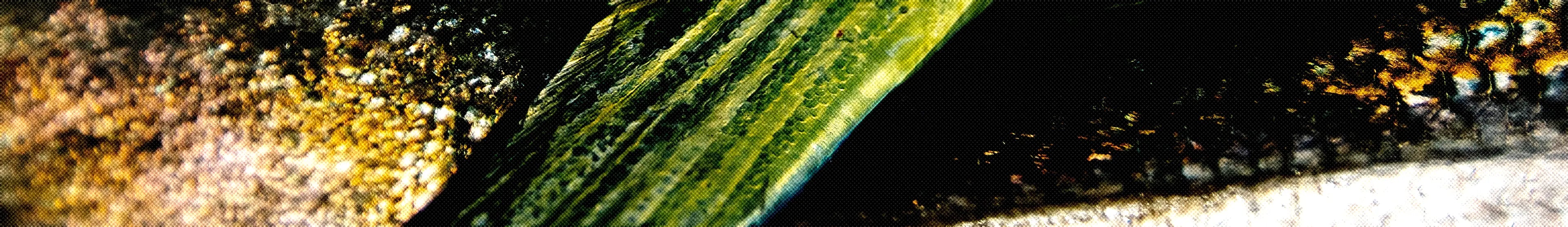 Lures & Jigs